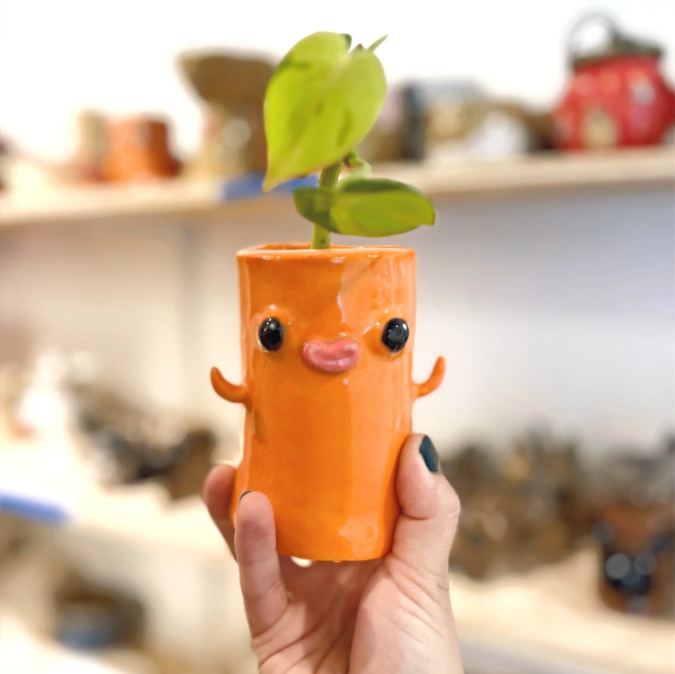 Plant Buddies