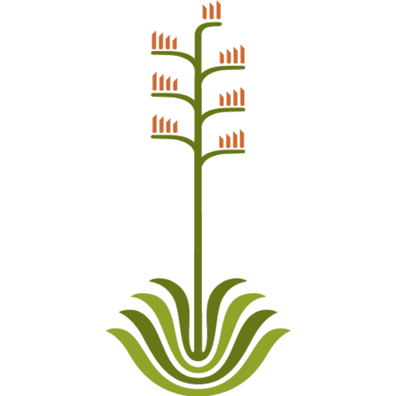 Desert Botanical Garden