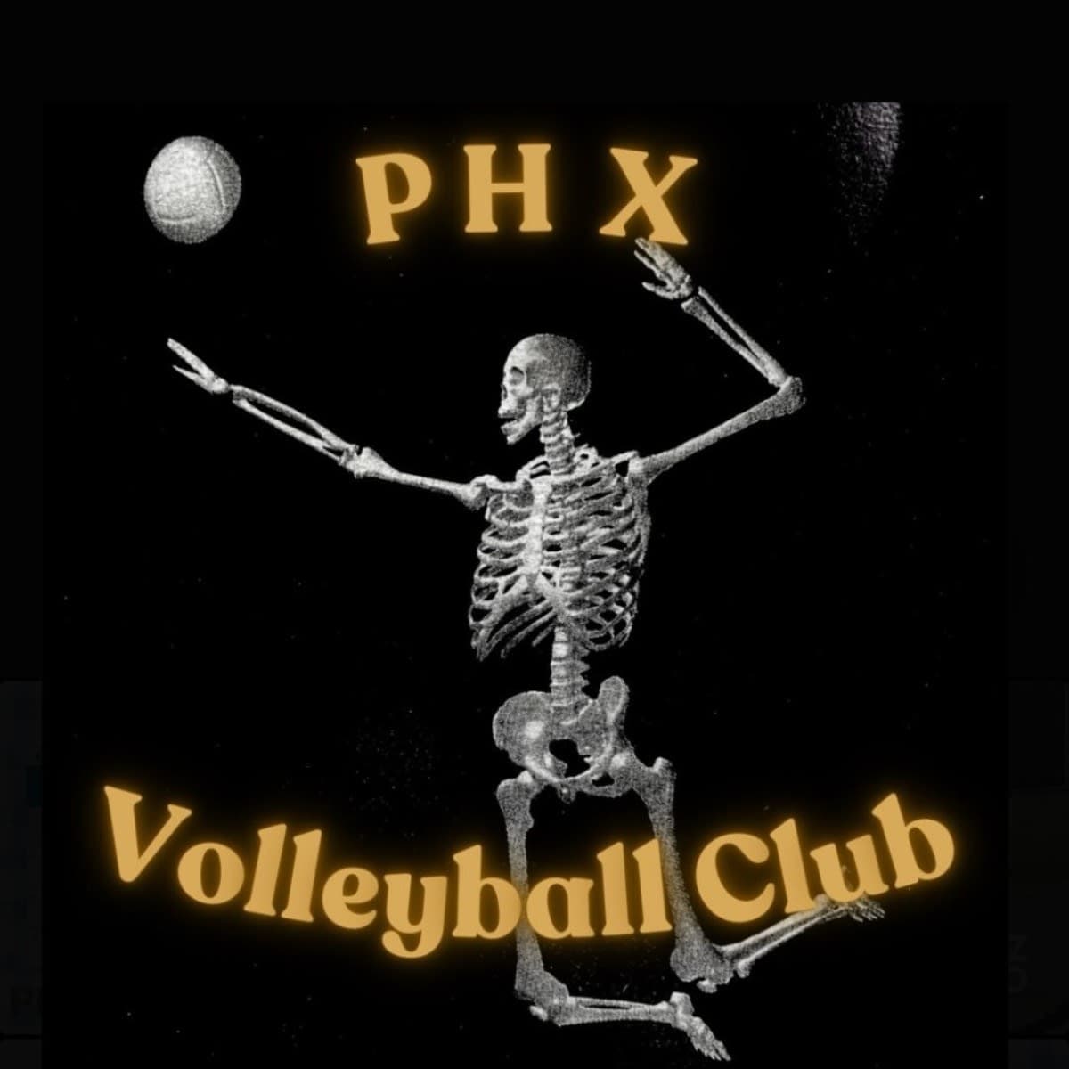 Phoenix Volleyball Club