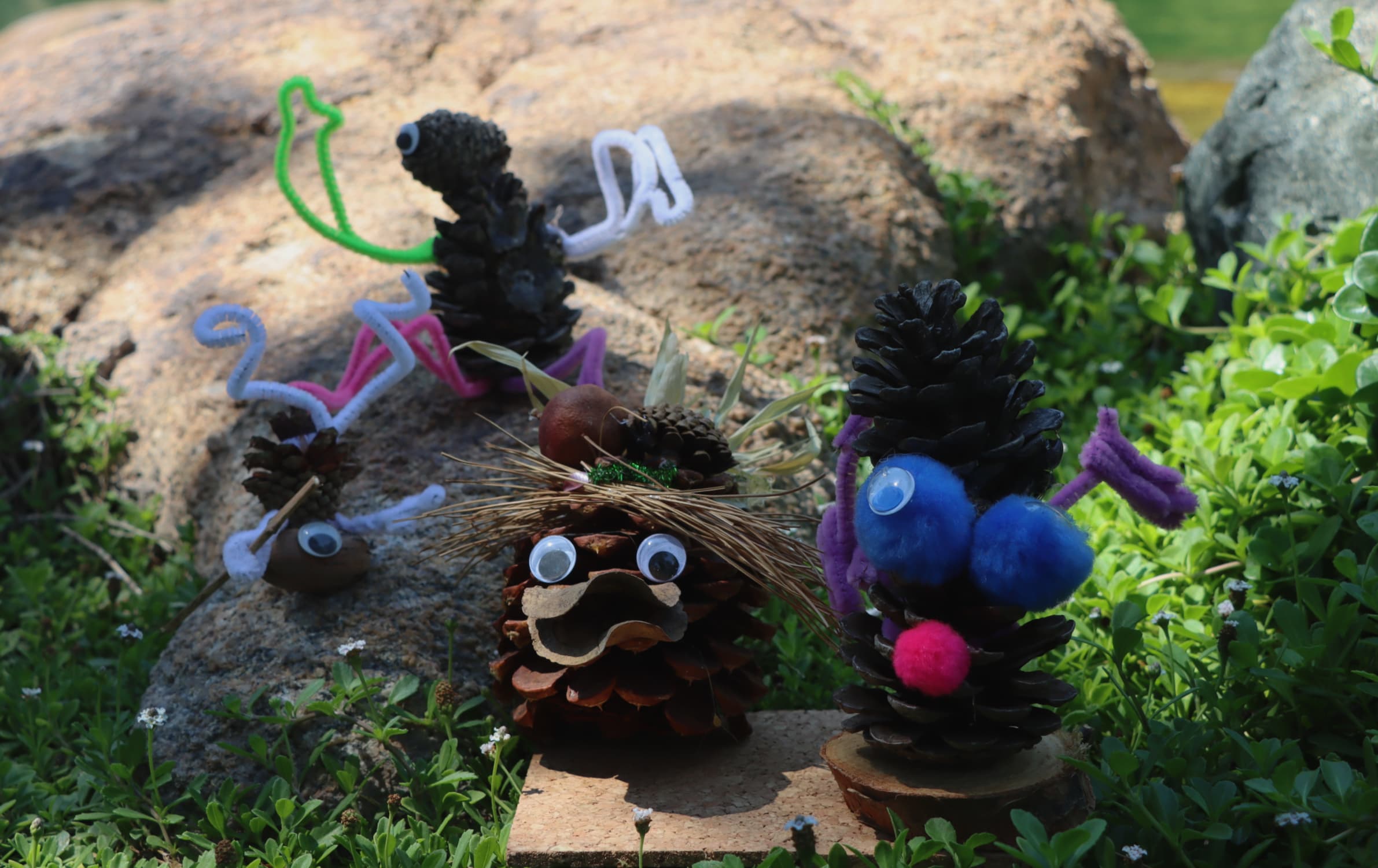 Craft a Garden Buddy using Garden Materials! (Indoor Event)
